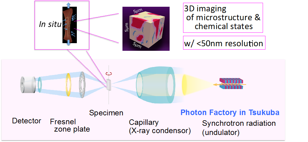 Fig3